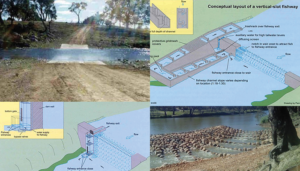 Fishway Design and Example Montage (©NSW Department of Primary Industris, ABC News)